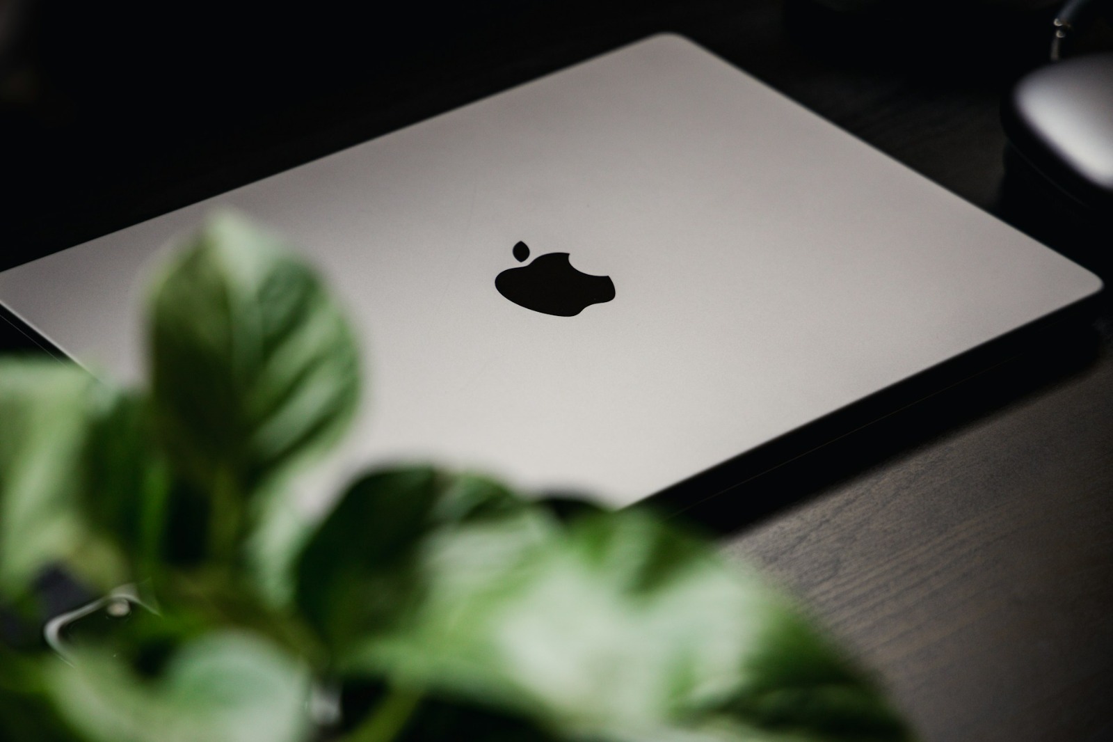 Revizie Macbook Bucuresti mentenanta