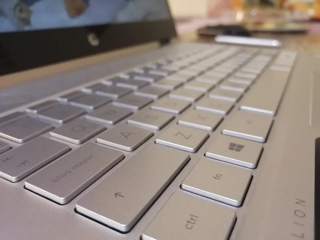 la cat timp trebuie facuta o revizie laptop